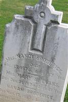 Mary A. Evans