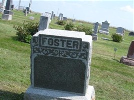 Mary A. Foster Mary A. Foster