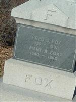 Mary A Fox