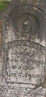 Mary A Gibbs