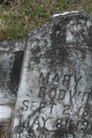 Mary A. Godwin