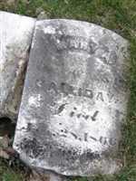 Mary A. Halliday Mary A. Halliday