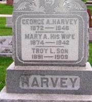 Mary A. Harvey