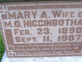 Mary A Higginbotham