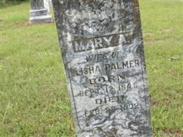 Mary A. Palmer