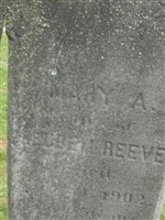 Mary A Reeve