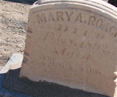 Mary A Roach