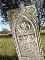 Mary A Rollins