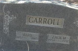Mary A. Selman Carroll