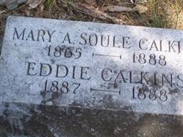Mary A. Soule Calkins
