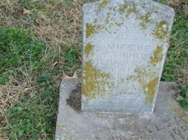 Mary A. Thrower