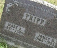 Mary A. Tripp
