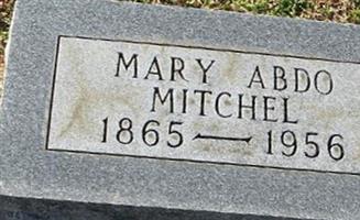 Mary Abdo Mitchell
