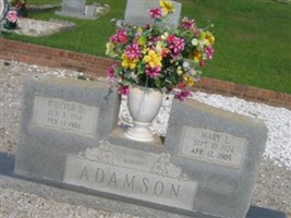 Mary Adamson Mary Adamson