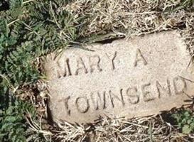 Mary Adelia Townsend