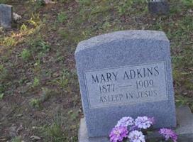 Mary Adkins
