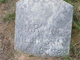 Mary A E Willingham Mary A E Willingham
