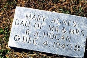 Mary Agnes Hogan