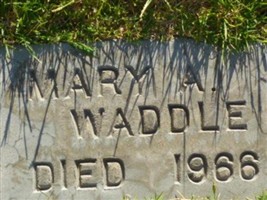 Mary Agnes Waddle