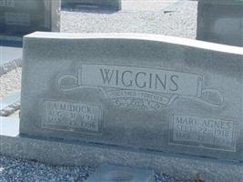 Mary Agnes Wiggins