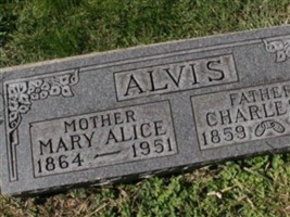 Mary Alice Alvis