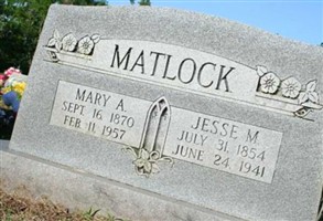 Mary Alzana Forgey Matlock