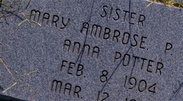 Mary Ambrose Potter
