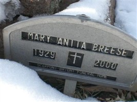 Mary Anita Briskey Breese Mary Anita Briskey Breese