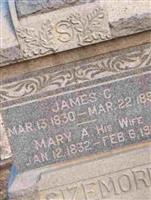 Mary Ann Abbott Sizemore Mary Ann Abbott Sizemore