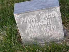 Mary Ann Alger