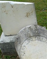 Mary Ann Allard