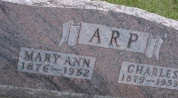 Mary Ann Arp