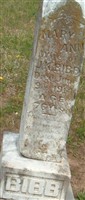 Mary Ann Bibb