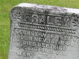 Mary Ann Bickle Fraley