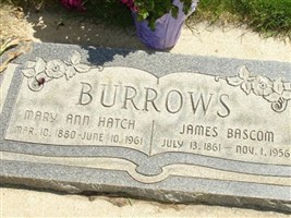 Mary Ann Burrows
