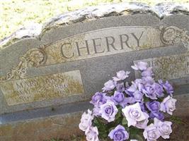 Mary Ann Cherry