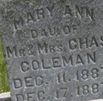 Mary Ann Coleman