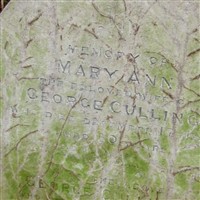 Mary Ann Culling