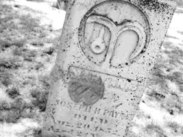 Mary Ann Daugherty Payne Mary Ann Daugherty Payne