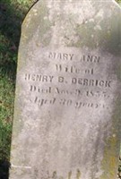 Mary Ann Derrick