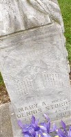 Mary Ann Dobson Storrs