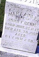 Mary Ann E Behm