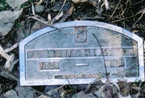Mary Ann Frost Crawford