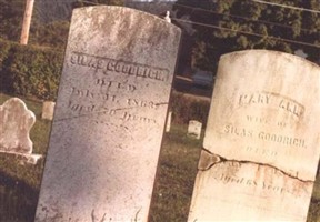 Mary Ann Goodrich Goodrich