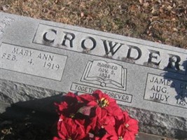Mary Ann Hastings Crowder