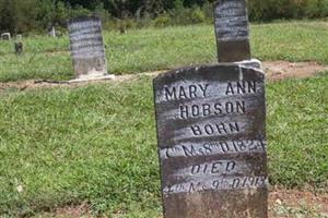 Mary Ann Hobson