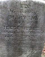 Mary Ann Hubbs Mary Ann Hubbs