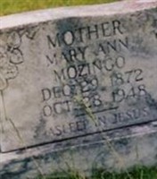 Mary Ann Kelley Mozingo Mary Ann Kelley Mozingo