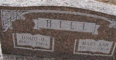 Mary Ann Llewellyn Hill