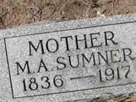 Mary Ann Love Sumner